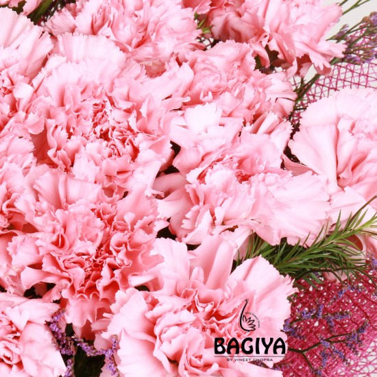 20 Crazy Pink Carnations