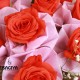 Idyllic Orange Roses Bouquet