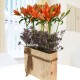 Orange Lily Box Bouquet Wooden