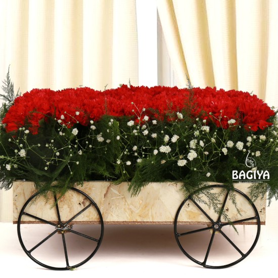 Carnations Cart