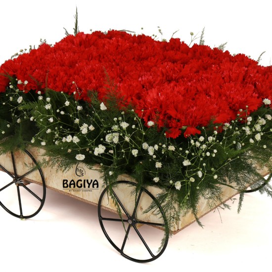 Carnations Cart