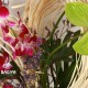 Anthuriums and Orchids