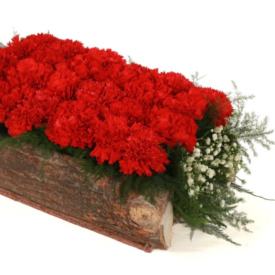 Bed of Red Carnation