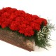 Bed of Red Carnation