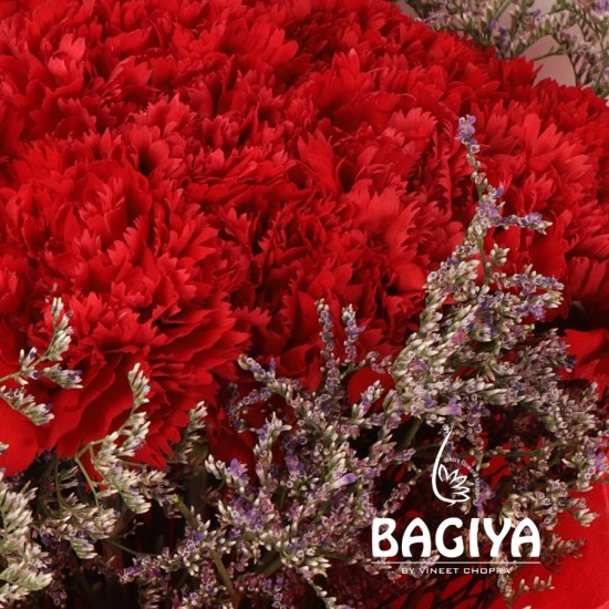 Red Carnations Bunch