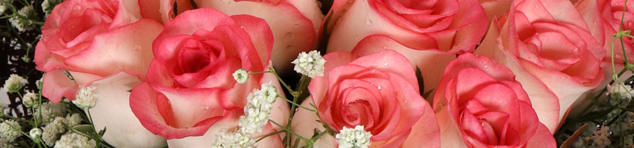 Jaipur Flower Delivery Online