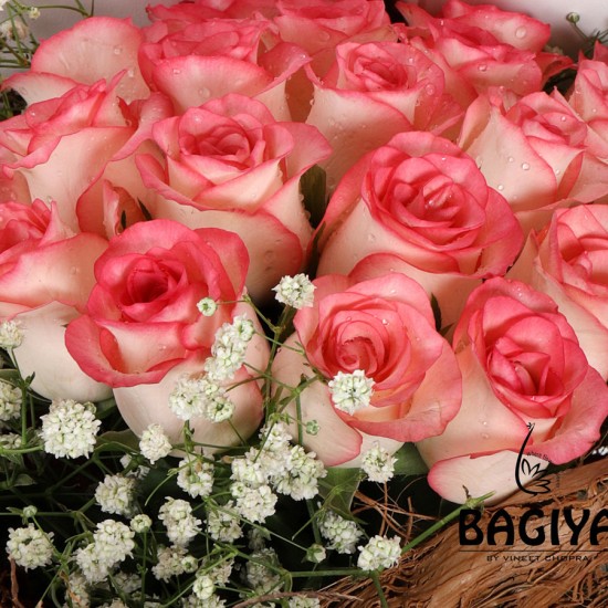 20 PINK ROSES BUNCH