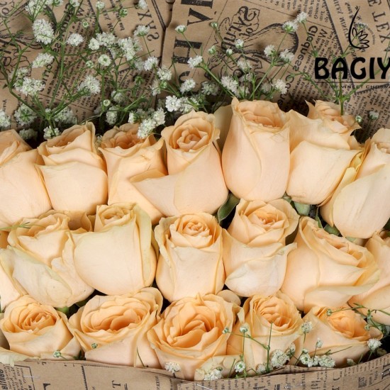 21 PEACH ROSES BUNCH