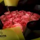 30 PINK ROSE BUNCH