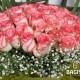 30 PINK SHADED ROSES BUNCH