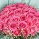 50 PINK ROSES BUNCH ONLINE