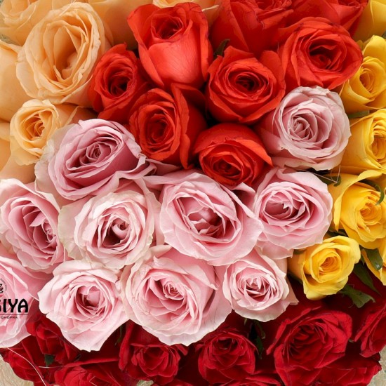 50 MIX ROSES BUNCH