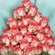 35 PINK ROSES BUNCH