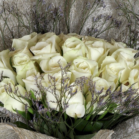 25 WHITE ROSES BUNCH ONLINE