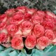 30 PINK ROSES BUNCH