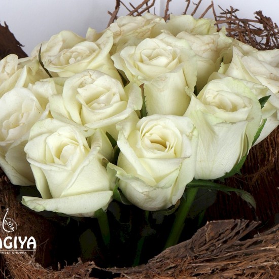 20 WHITE ROSES BUNCH 