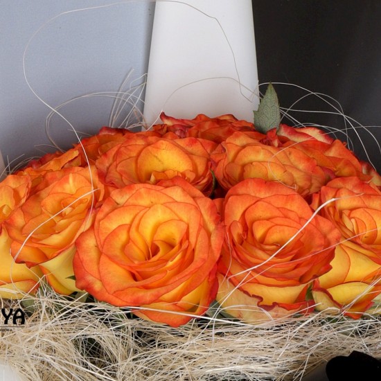 20 ORANGE ROSES BUNCH