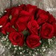 20 RED ROSES BUNCH DELIVERY