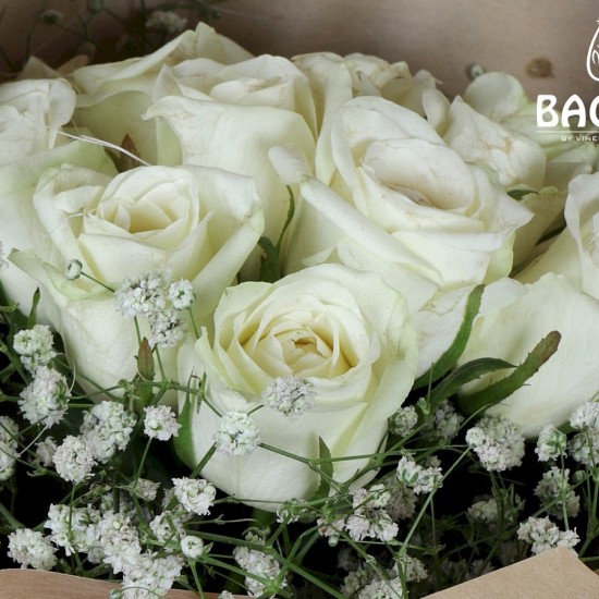 12 WHITE ROSE BUNCH 