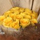 20 YELLOW ROSES BUNCH ONLINE