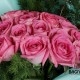 20 PINK ROSES BUNCH DELIVERY ONLINE