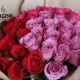 50 PURPLE PINK RED ROSES BUNCH