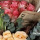 30 PINK PEACH ROSES BUNCH