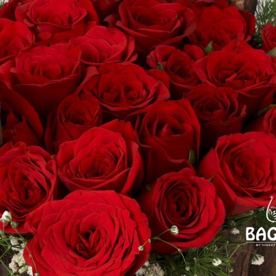 25 RED ROSES HANDLE BASKET