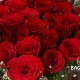 25 RED ROSES HANDLE BASKET